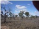 WILLACORA 50 KM SE, Cunnamulla QLD 4490