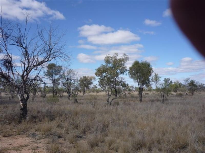 WILLACORA 50 KM SE, Cunnamulla QLD 4490