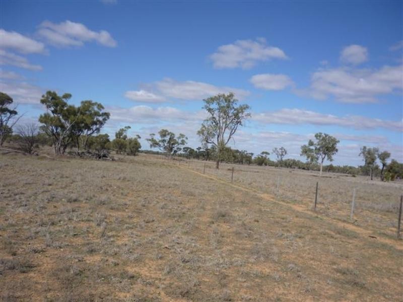 WILLACORA 50 KM SE, Cunnamulla QLD 4490