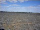 WILLACORA 50 KM SE, Cunnamulla QLD 4490