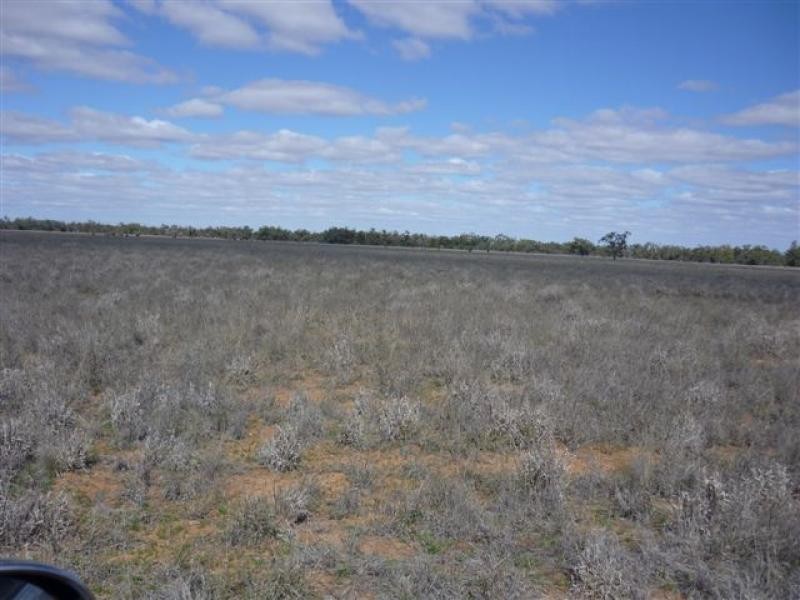 WILLACORA 50 KM SE, Cunnamulla QLD 4490