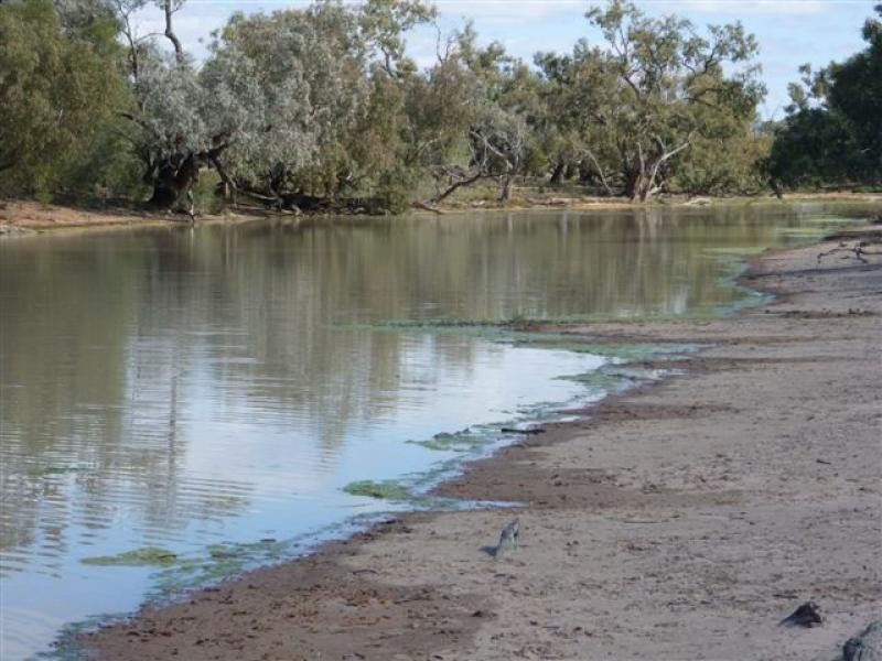 WILLACORA 50 KM SE, Cunnamulla QLD 4490