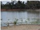 WILLACORA 50 KM SE, Cunnamulla QLD 4490