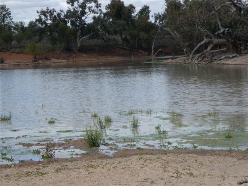 WILLACORA 50 KM SE, Cunnamulla QLD 4490
