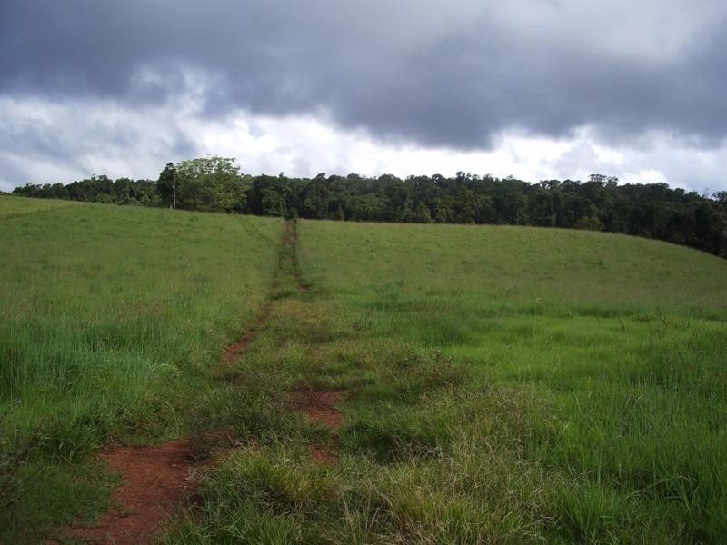 Lake Barrine QLD 4884