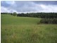 Lake Barrine QLD 4884