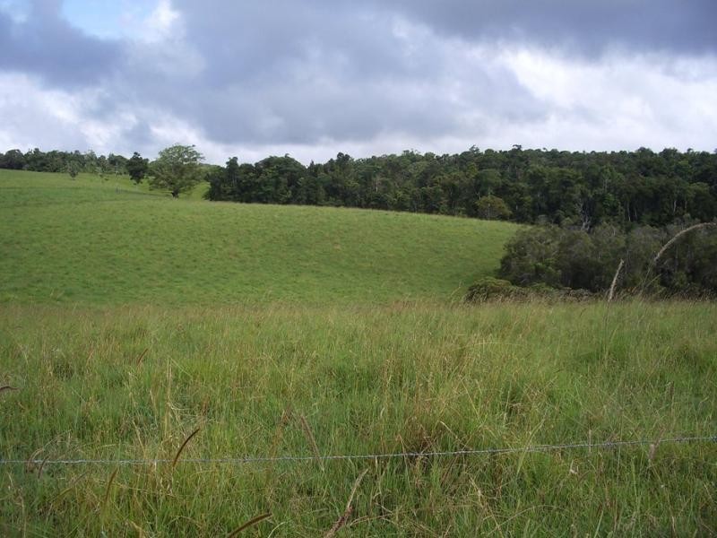 Lake Barrine QLD 4884