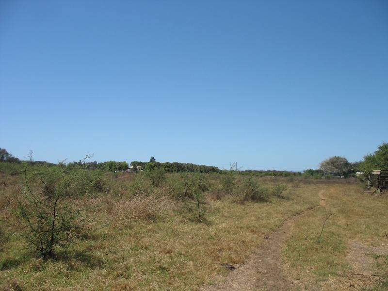 263 Kelsey Road, Bowen QLD 4805
