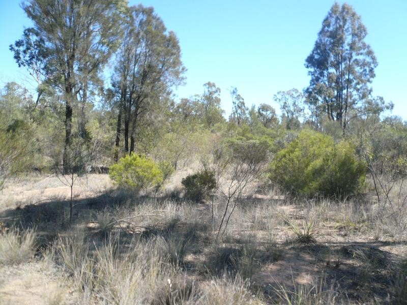 Lot 178/ TREGATHLYN ROAD, Tara QLD 4421