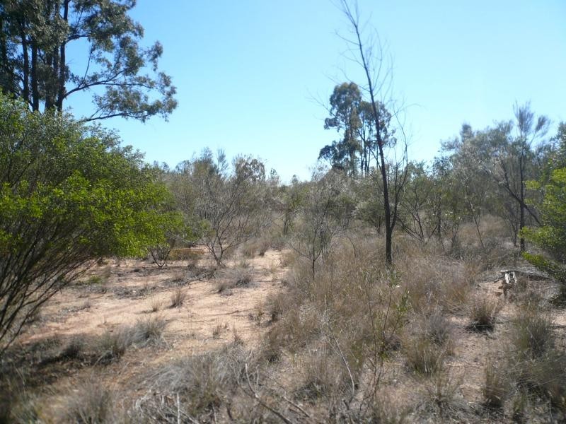 Lot 178/ TREGATHLYN ROAD, Tara QLD 4421