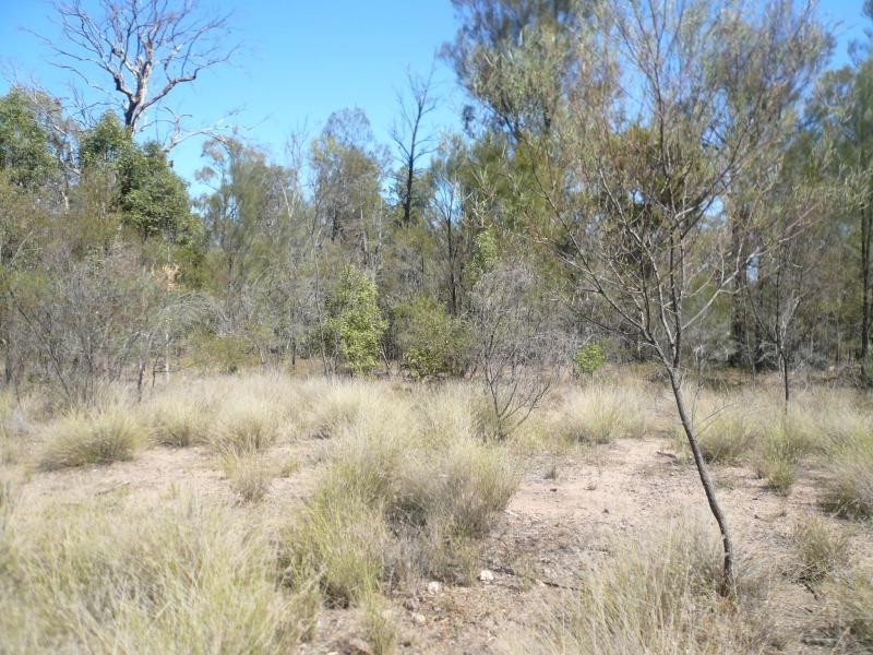 Lot 178/ TREGATHLYN ROAD, Tara QLD 4421