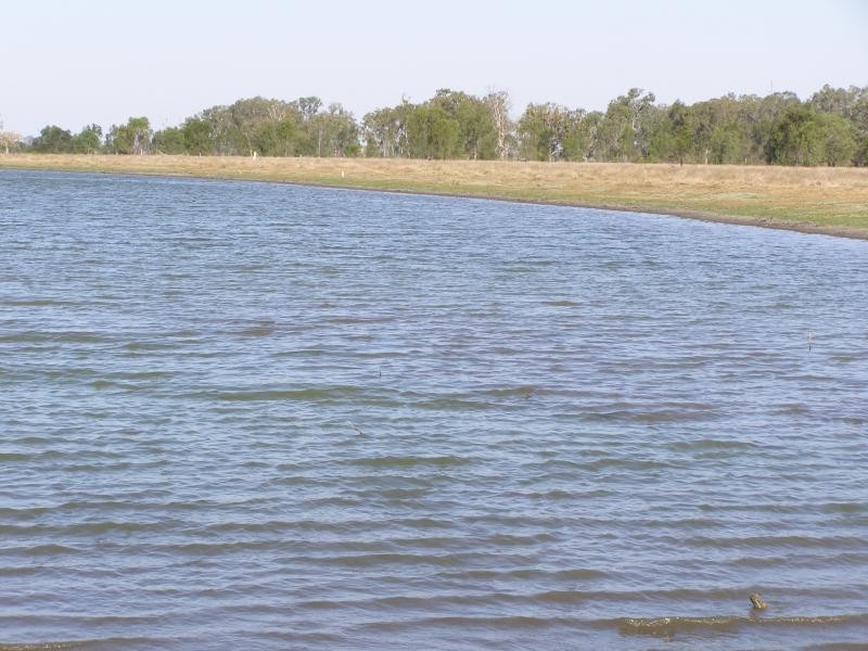 21 Fairybower Lane, Gracemere QLD 4702