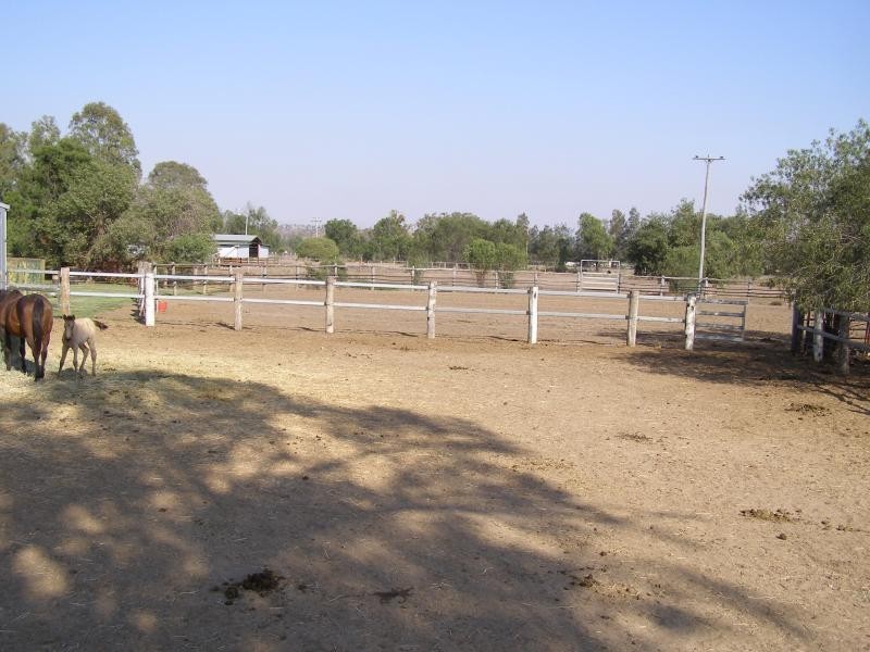 21 Fairybower Lane, Gracemere QLD 4702