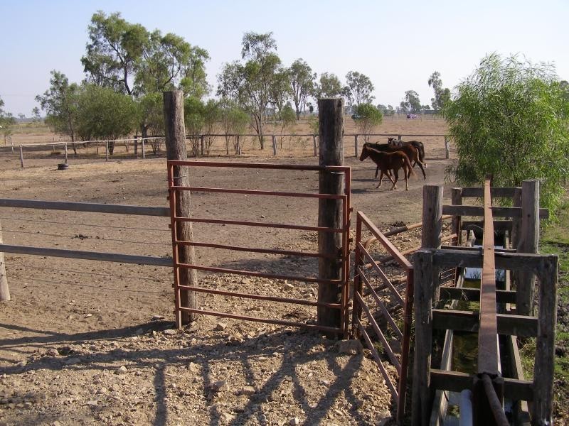 21 Fairybower Lane, Gracemere QLD 4702