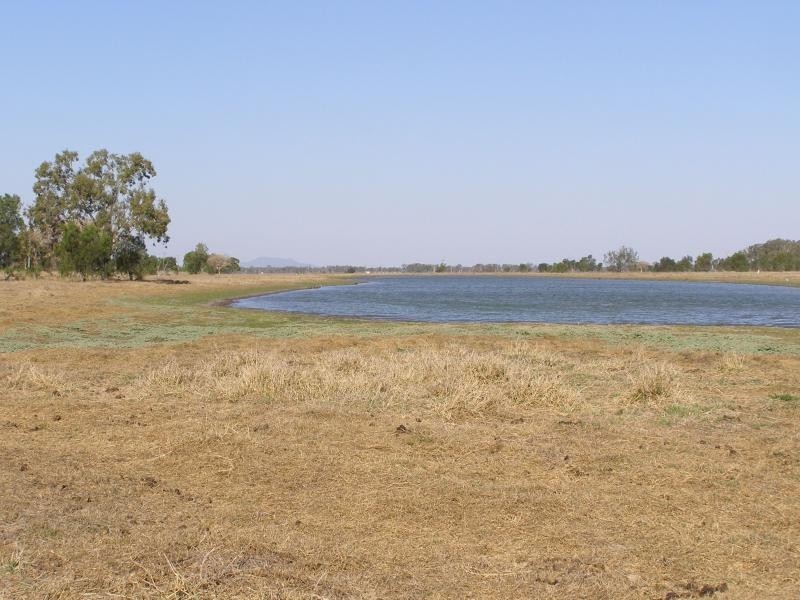 21 Fairybower Lane, Gracemere QLD 4702