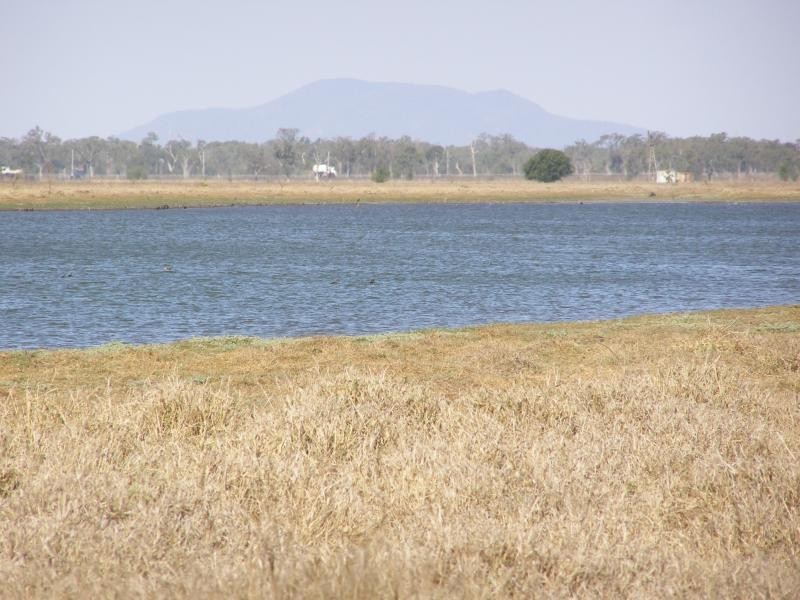 21 Fairybower Lane, Gracemere QLD 4702