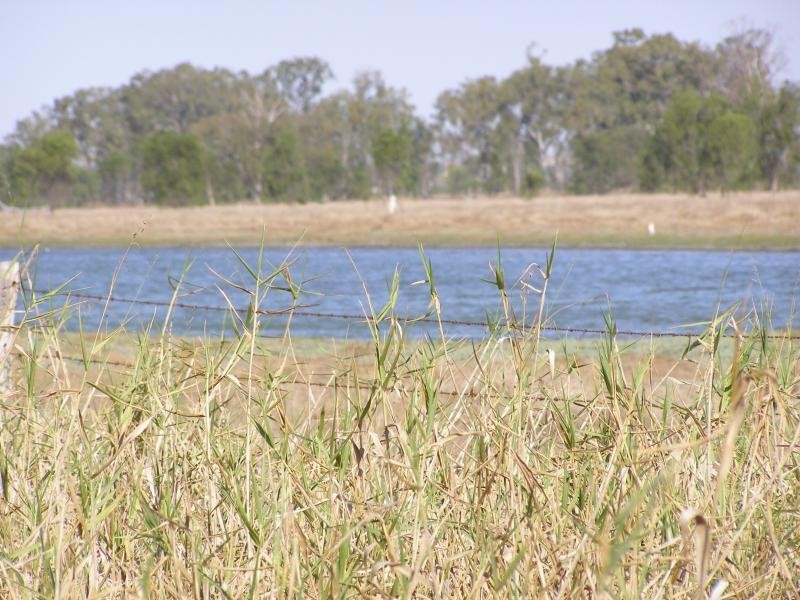 21 Fairybower Lane, Gracemere QLD 4702