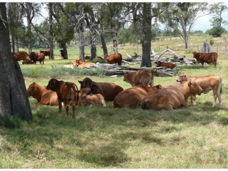 1148 ACRES NORTH-WEST, Bell QLD 4408