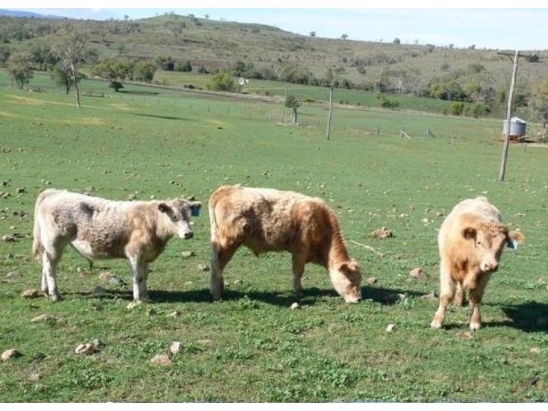 1148 ACRES NORTH-WEST, Bell QLD 4408