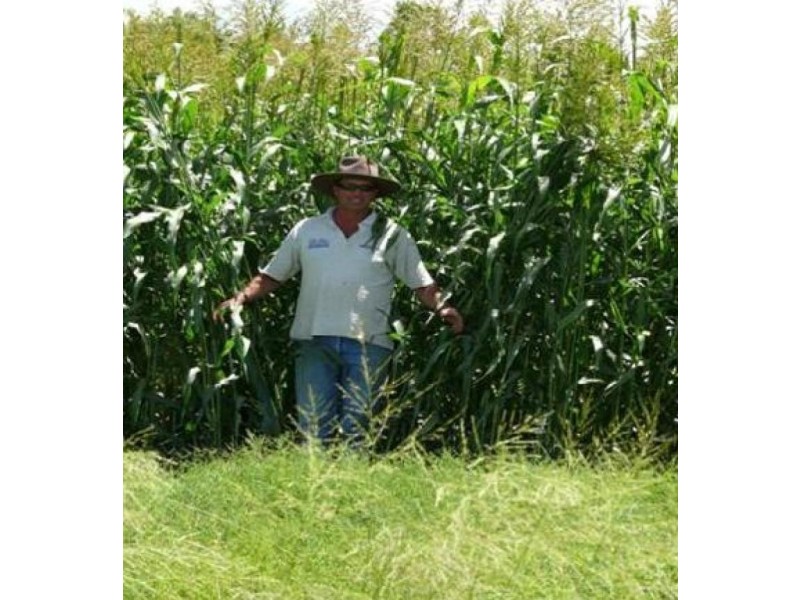 1148 ACRES NORTH-WEST, Bell QLD 4408