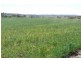 1148 ACRES NORTH-WEST, Bell QLD 4408