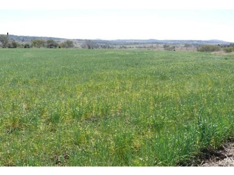 1148 ACRES NORTH-WEST, Bell QLD 4408