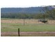 1148 ACRES NORTH-WEST, Bell QLD 4408