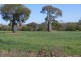 1148 ACRES NORTH-WEST, Bell QLD 4408