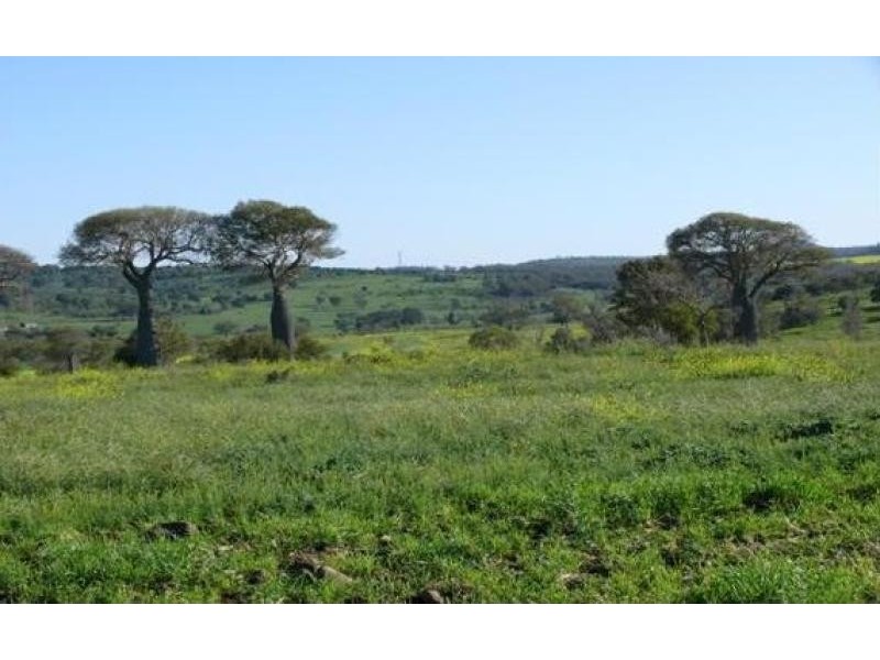 1148 ACRES NORTH-WEST, Bell QLD 4408