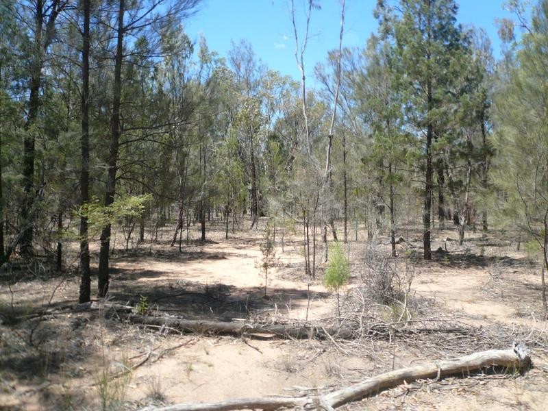 Lot 34/ HUMBUG ROAD, Tara QLD 4421