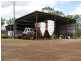 1173 Acres Condamine River Grazing + Stud Herd, Brigalow QLD 4412