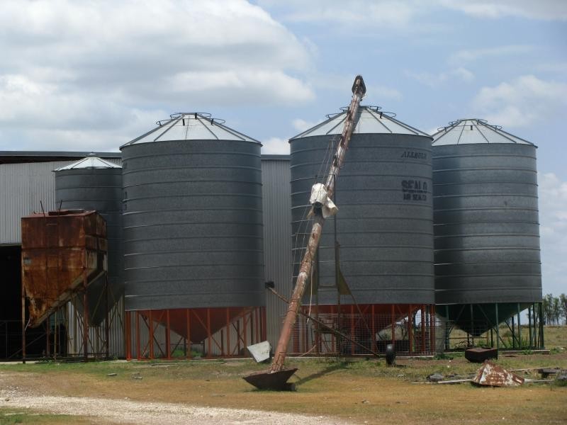 1173 Acres Condamine River Grazing + Stud Herd, Brigalow QLD 4412