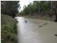1173 Acres Condamine River Grazing + Stud Herd, Brigalow QLD 4412