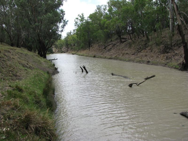1173 Acres Condamine River Grazing + Stud Herd, Brigalow QLD 4412