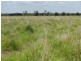 1173 Acres Condamine River Grazing + Stud Herd, Brigalow QLD 4412