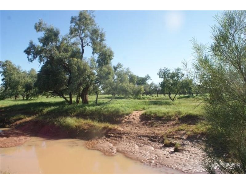 Thargomindah QLD 4492