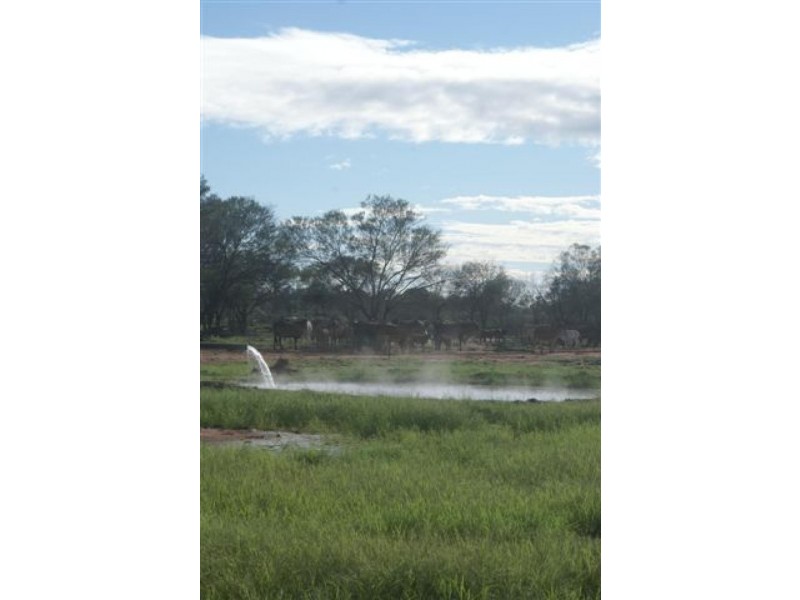 Thargomindah QLD 4492