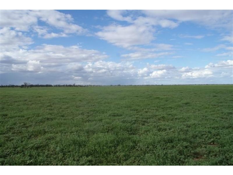 Thargomindah QLD 4492