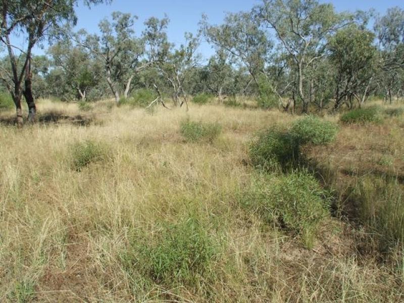 Thargomindah QLD 4492