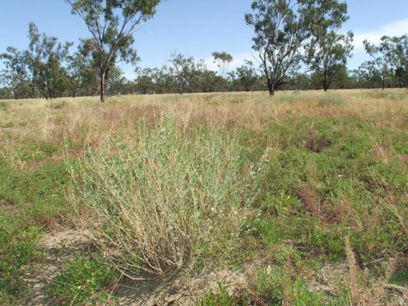 Thargomindah QLD 4492