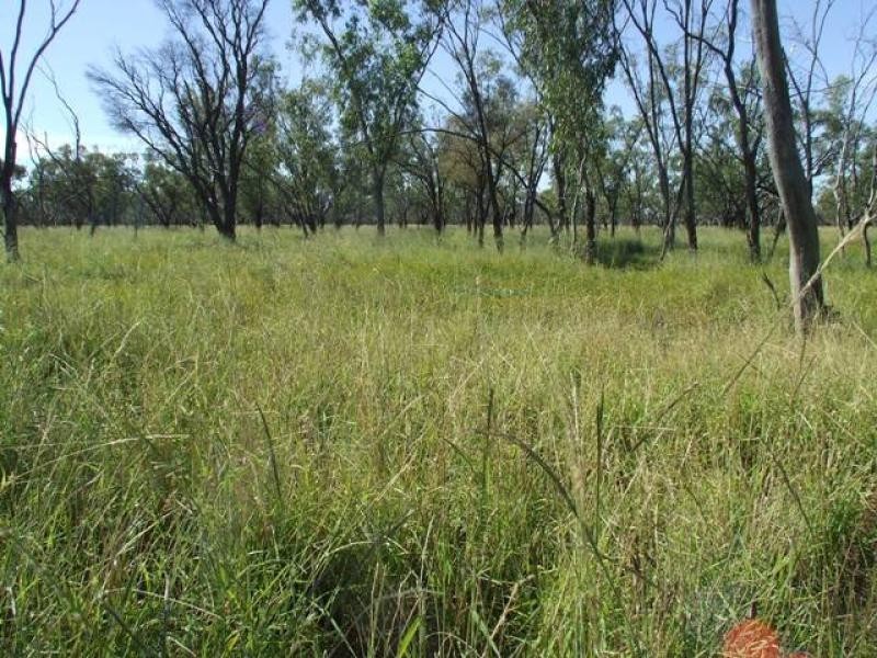 Thargomindah QLD 4492