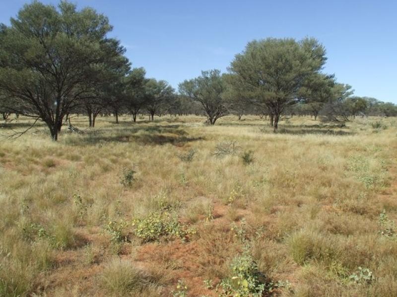 Thargomindah QLD 4492