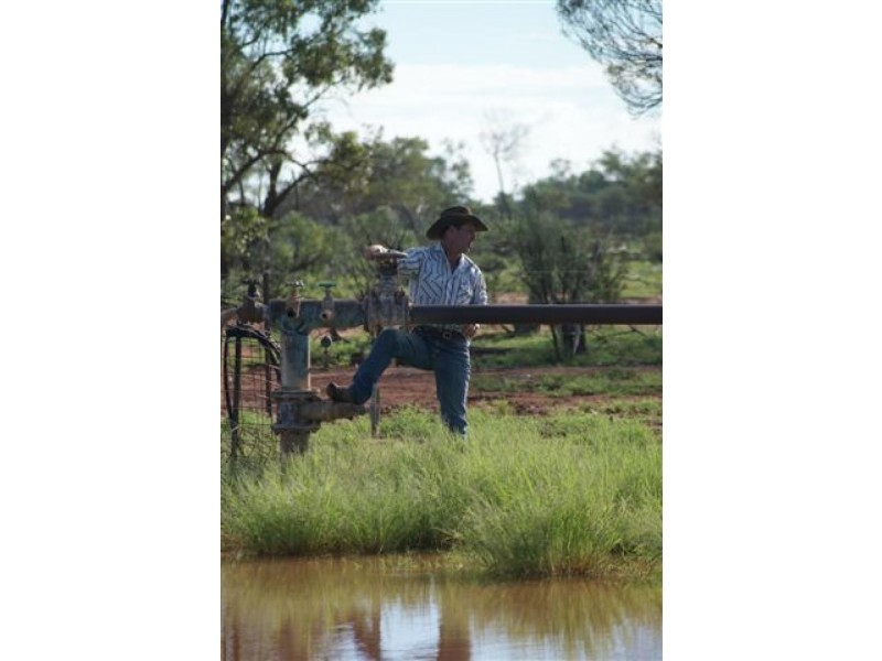 Thargomindah QLD 4492