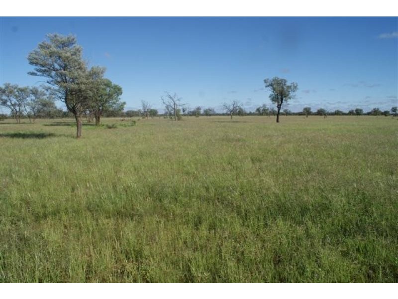 Thargomindah QLD 4492