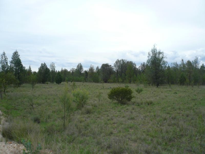 Lot 34/ BISLEY ROAD, Tara QLD 4421