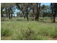 Bollon QLD 4488