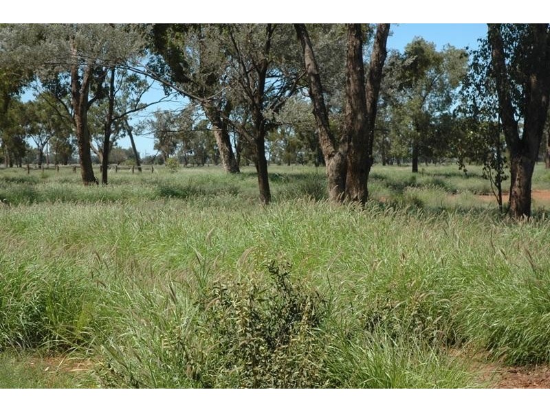Bollon QLD 4488