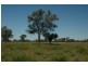 Bollon QLD 4488