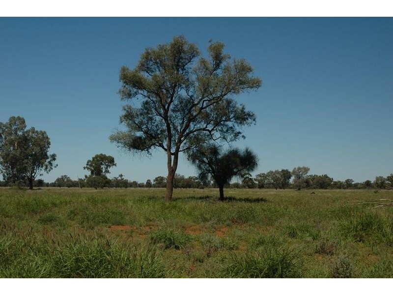 Bollon QLD 4488