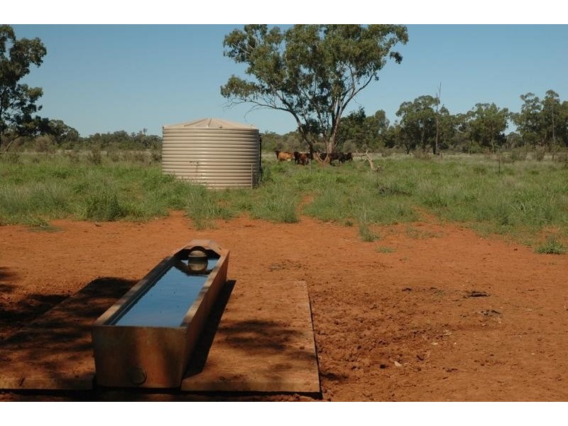 Bollon QLD 4488